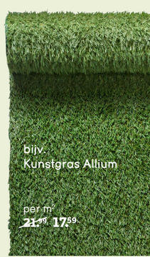 Aanbieding: Kunstgras Allium