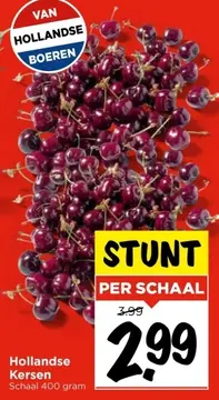 Aanbieding: Hollandse Kersen