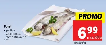 Aanbieding: Forel