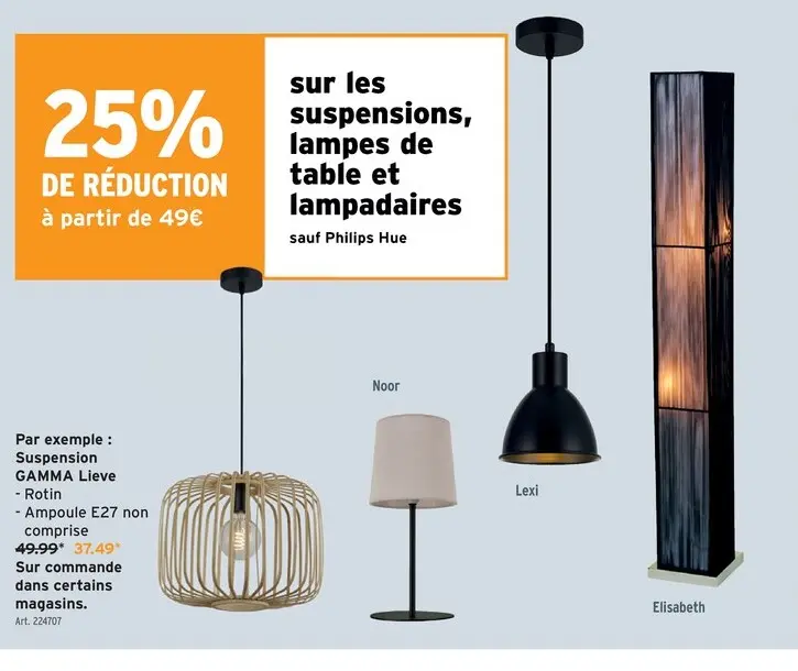 Offre: Suspension GAMMA Lieve