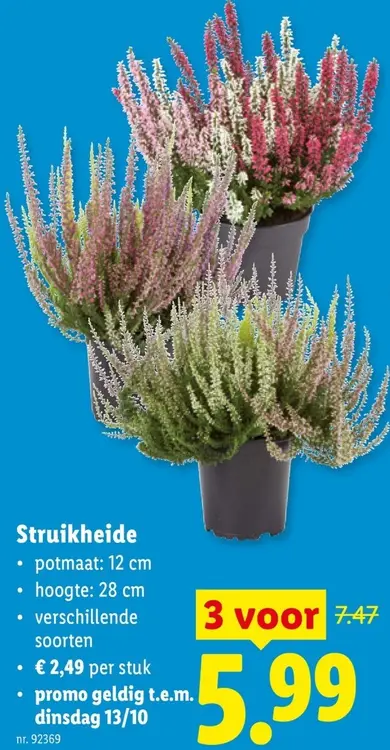 Promotie: Struikheide