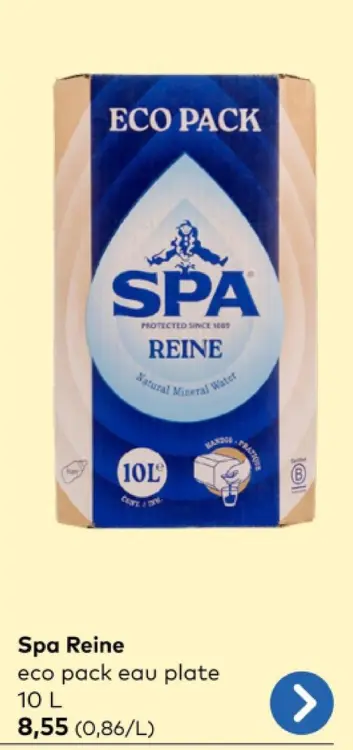 Offre: Spa Reine eco pack eau plate