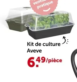 Offre: Kit de culture
