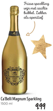 Aanbieding: Ca'Belli Magnum Sparkling