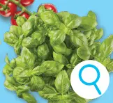 Promotie: Biobasilicum XXL