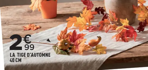 Offre: La tige d'automne