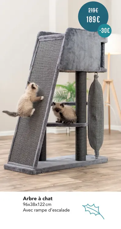 Offre: Arbre à chat