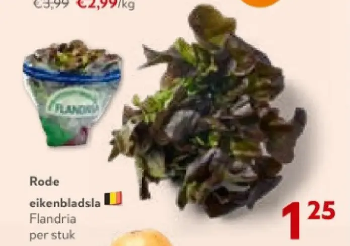 Promotie: Rode eikenbladsla