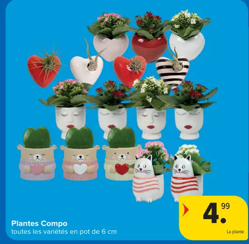 Offre: Plantes Compo
