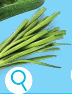 Offre: Oignons nouveaux