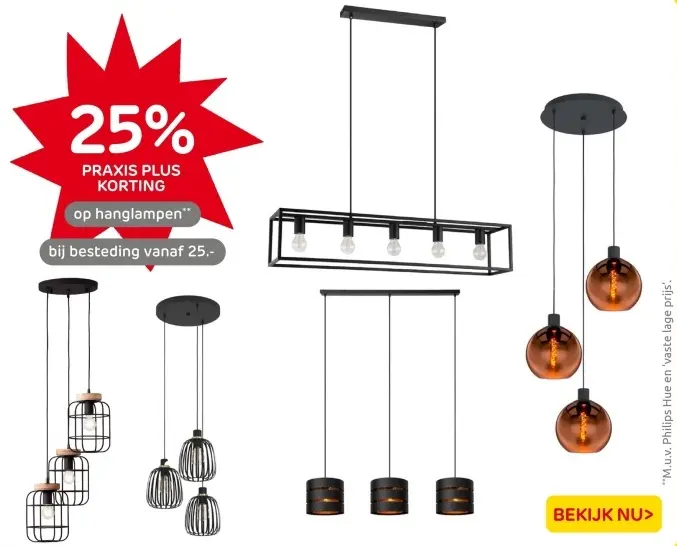 Aanbieding: Hanglampen