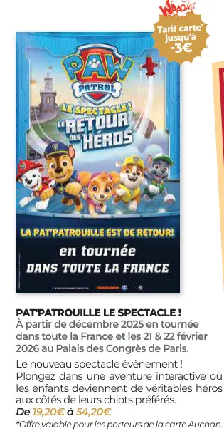 Offre: Pat'patrouille le spectacle!