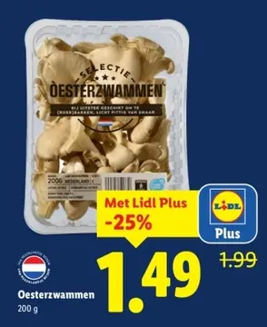Aanbieding: Oesterzwammen