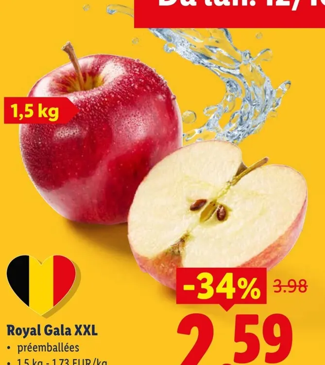 Offre: Royal Gala XXL