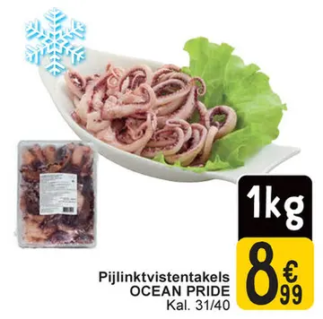 Aanbieding: Pijlinktvistentakels
