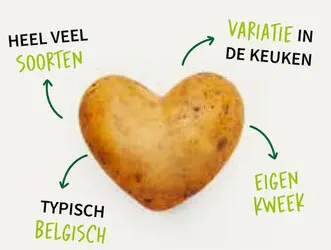 Promotie: Aardappel
