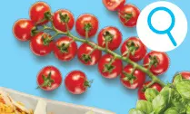 Offre: Tomates Toma'Dor®