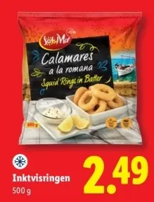 Aanbieding: Inktvisringen