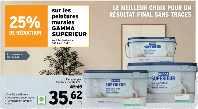 Offre: Peinture murale