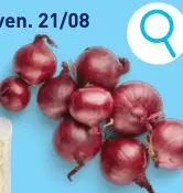 Offre: Oignons rouges