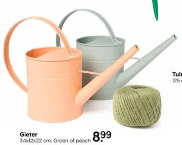 Aanbieding: Decoratie gieter metaal - diverse kleuren - 22x34.5x12.5 cm