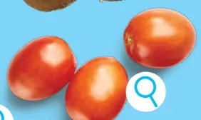 Offre: Tomates
