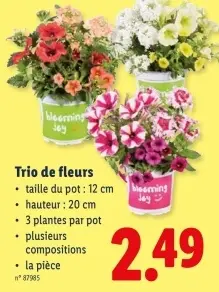 Offre: Trio de fleurs
