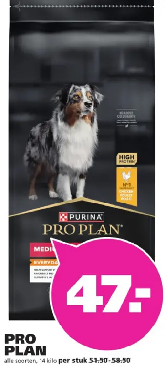 Aanbieding: Pro plan