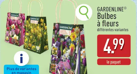 Offre: Bulbes à fleurs