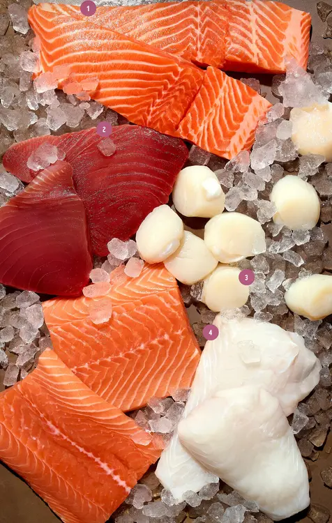 Offre: Assortiment de poissons et fruits de mer