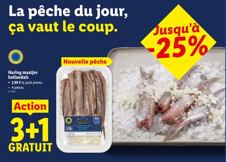 Offre: Haring maatjes hollandais