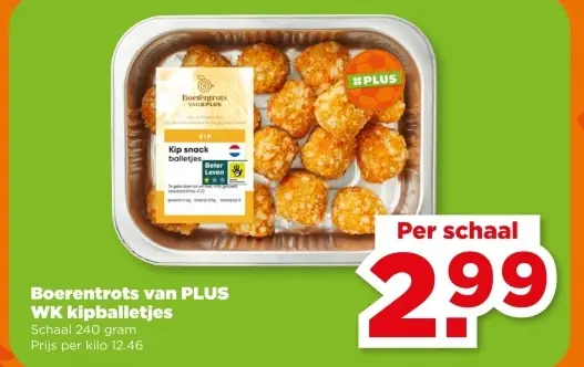 WK kipballetjes