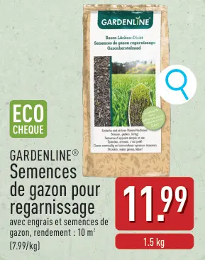Offre: Semences de gazon pour regarnissage