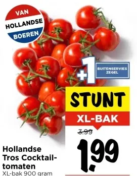 Aanbieding: Hollandse Tros Cocktailtomaten