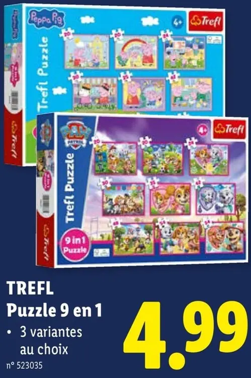 Offre: Puzzle 9 en 1