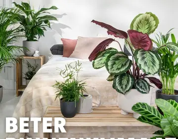 Aanbieding: Beter binnenklimaat