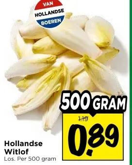 Aanbieding: Hollandse Witlof