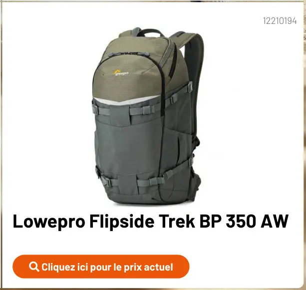 Offre: Flipside Trek BP 350 AW
