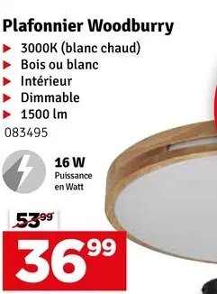 Offre: Plafonnier Woodburry