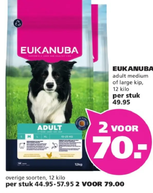 Aanbieding: adult medium of large kip