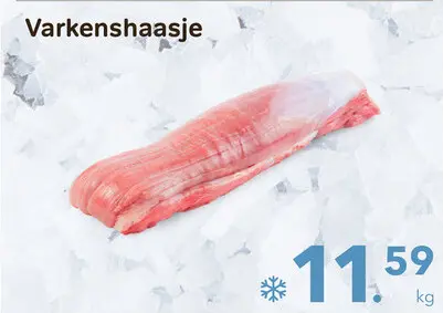 Promotie: Varkenshaasje