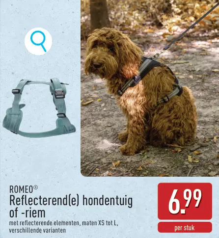 Promotie: Reflecterend(e) hondentuig of -riem