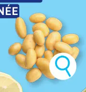 Offre: Pommes de terre