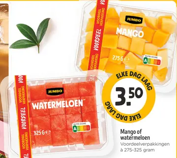 Aanbieding: Mango of watermeloen