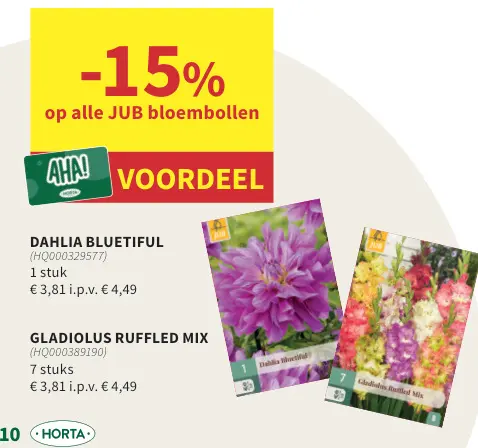 Promotie: Dahlia bluetiful