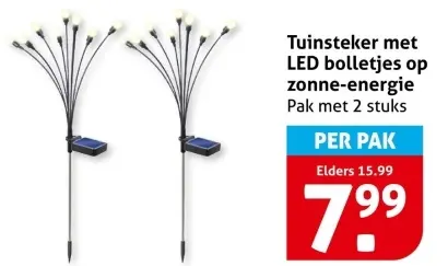 Tuinsteker met LED bolletjes op zonne-energie