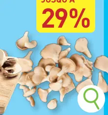 Offre: Mushrooms