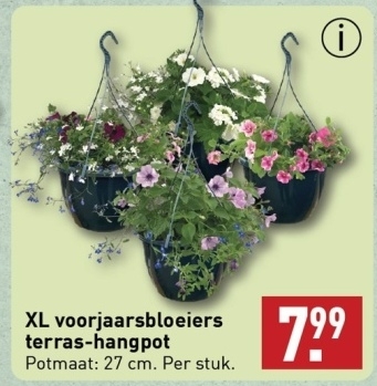 Aanbieding: XL voorjaarsbloeiers terras - hangpot