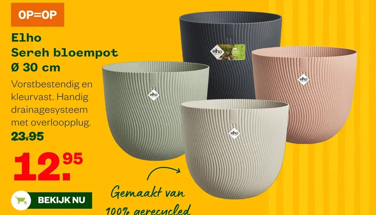 Aanbieding: Sereh bloempot
