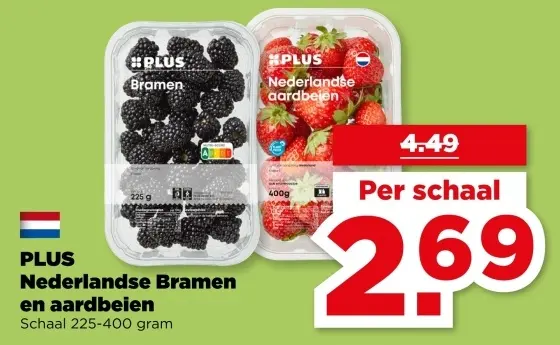 Aanbieding: Nederlandse Bramen en aardbeien
